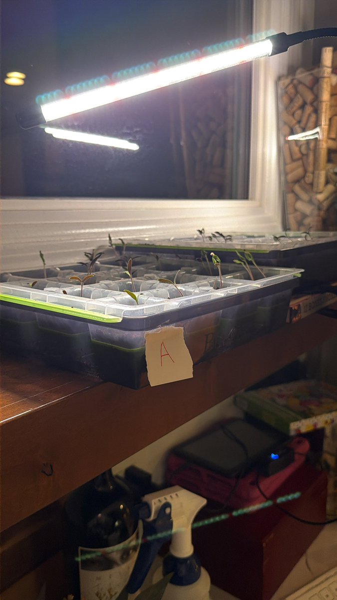 Ryan Leonard tweet media