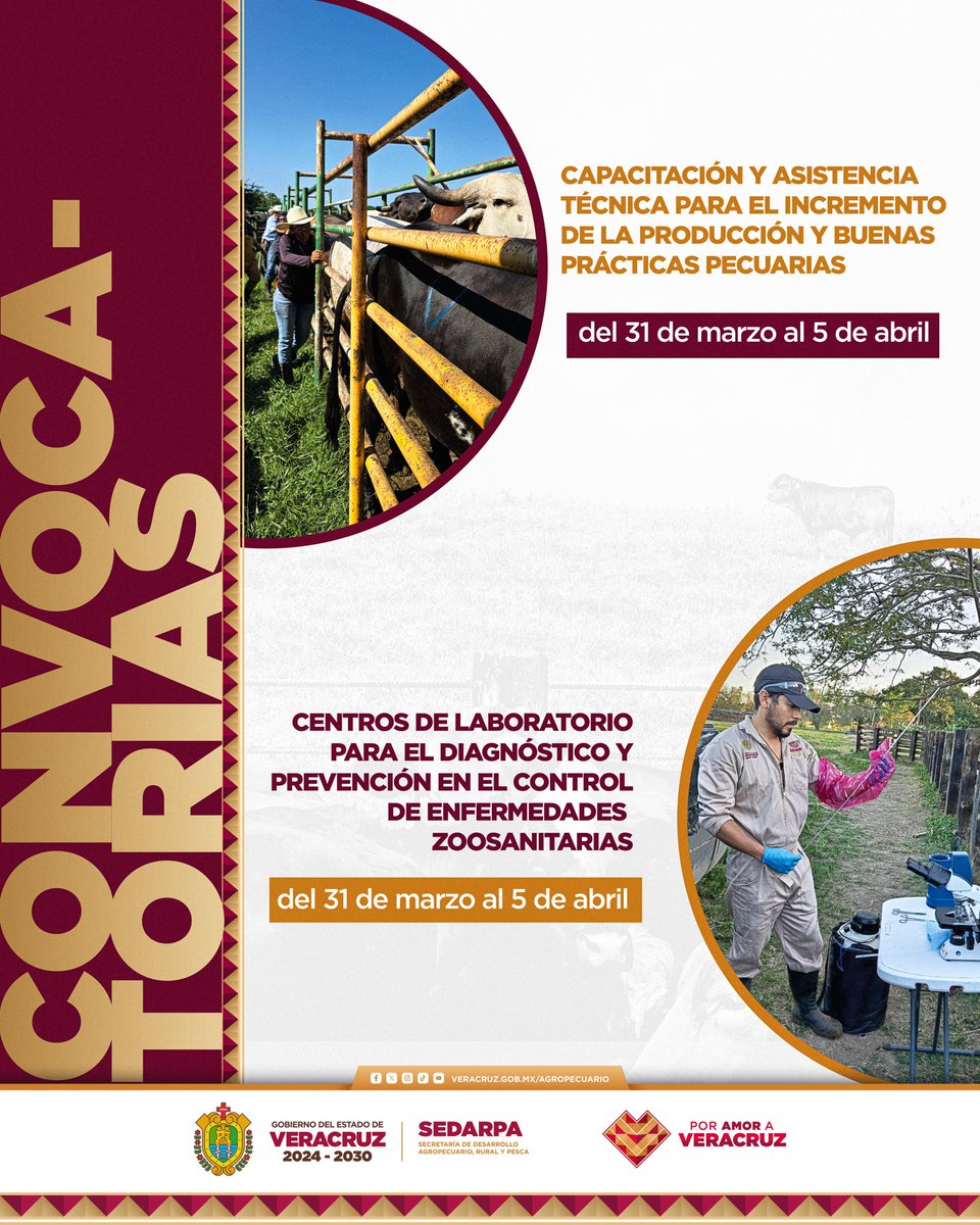 Desarrollo Agropecuario, Rural y Pesca de Veracruz tweet media