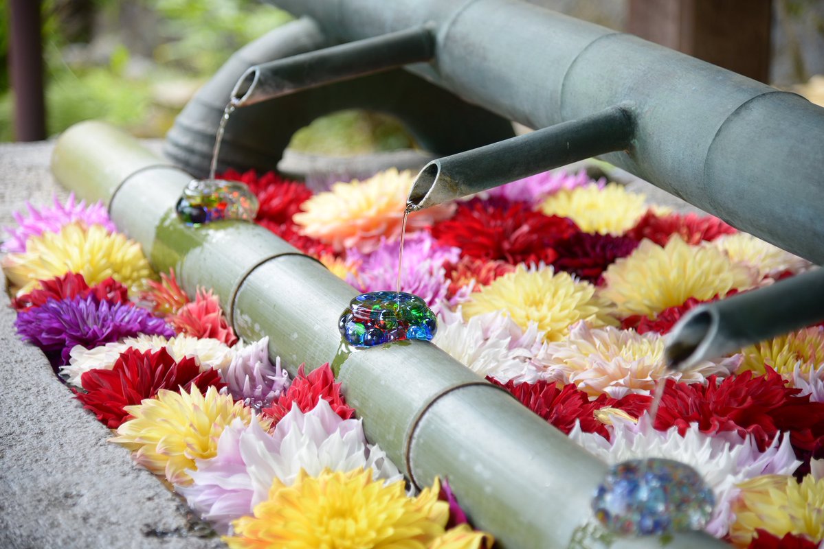 🐻ダッフィーらぶこもしか♂🙋‍♂️🐻 tweet media