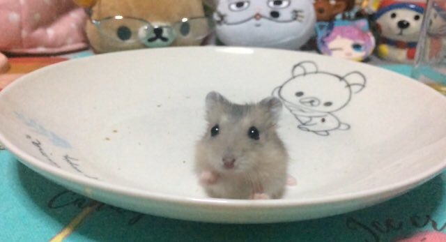 りなりな tweet media