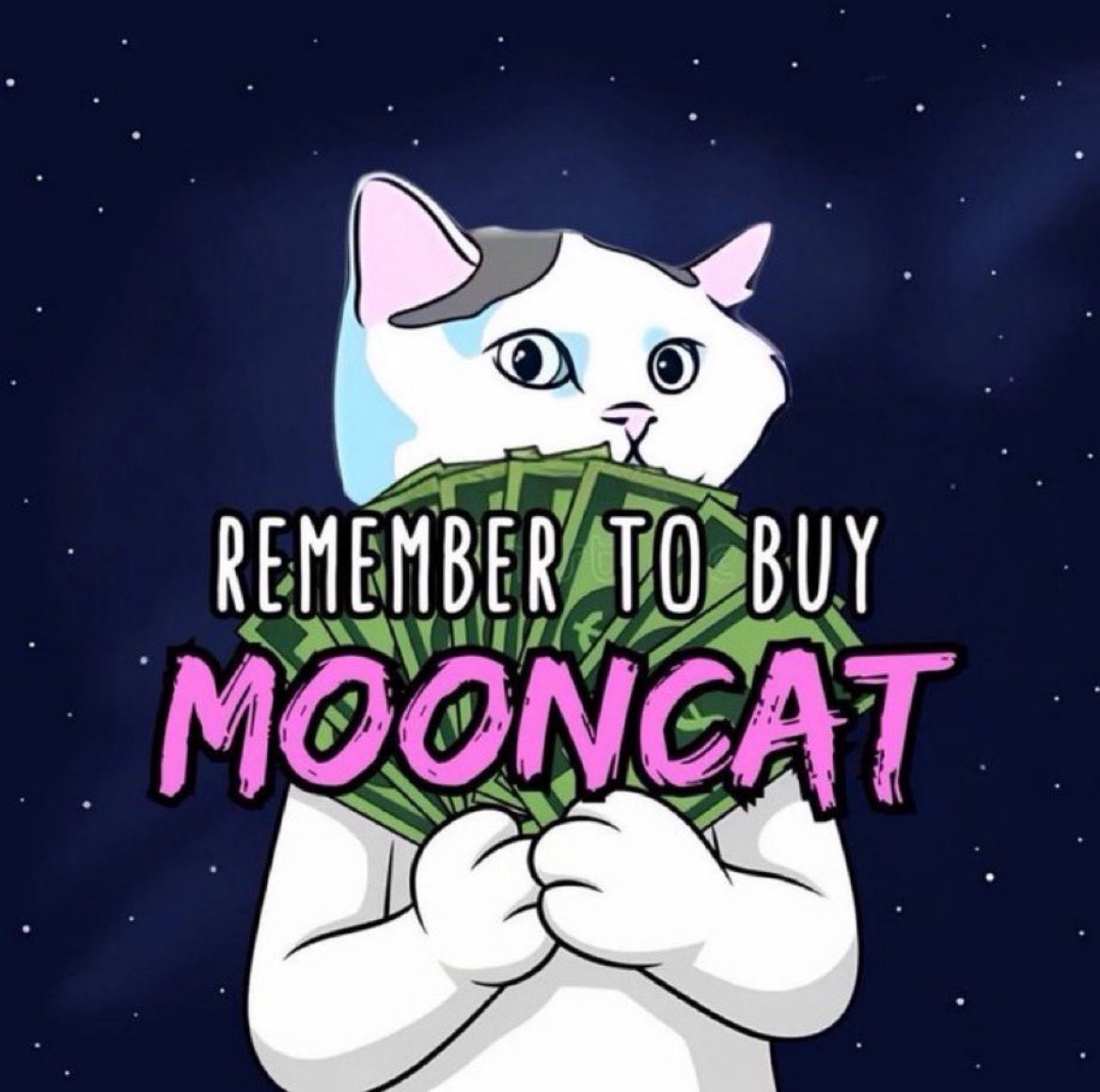 bronks75 📈🌙🐱🐸🐻 tweet media