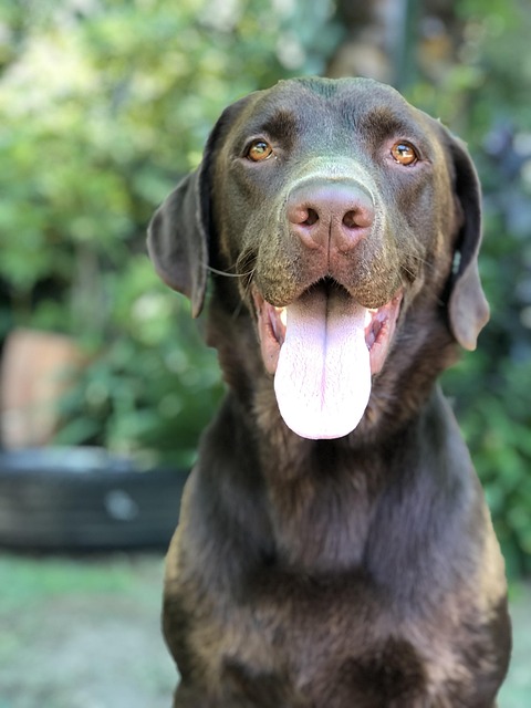 Brad Hernandez tweet media