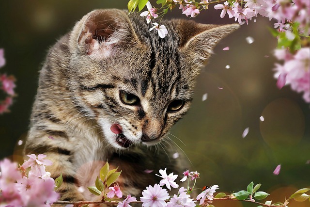 Kim Frerich tweet media