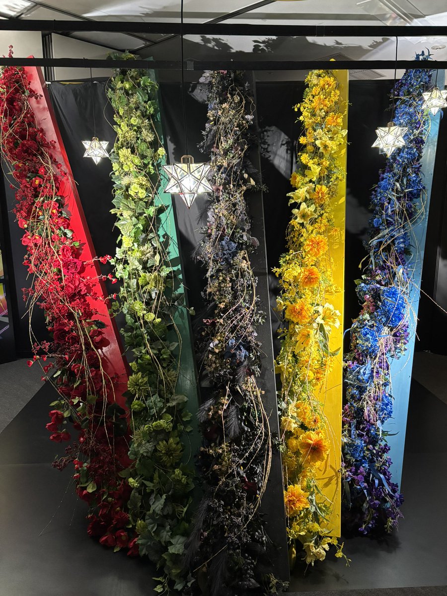 킨도・キンド 💫 tweet media