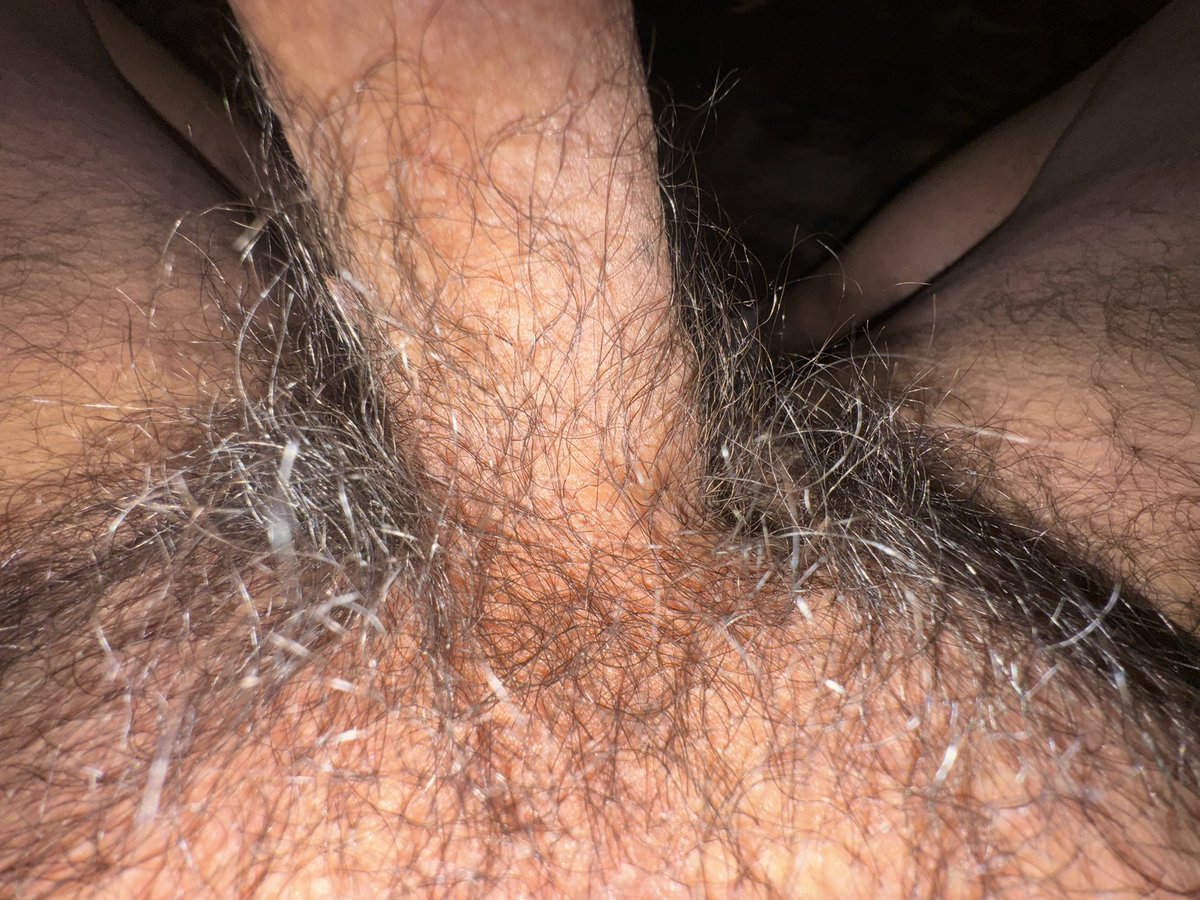 CO Dad Bod tweet media