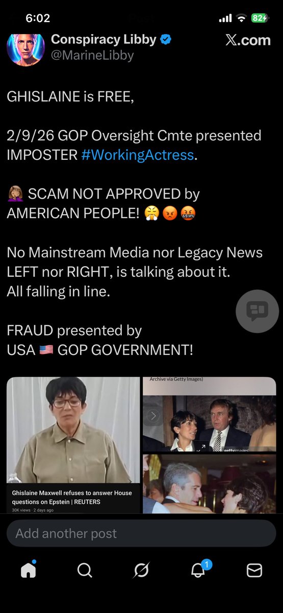 Conspiracy Libby tweet media