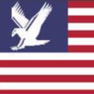 American no kings token logo