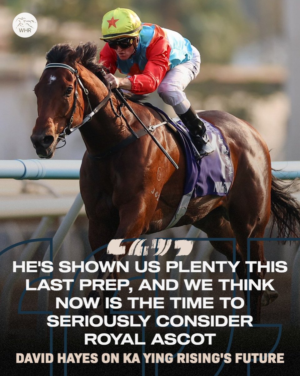 World Horse Racing tweet media