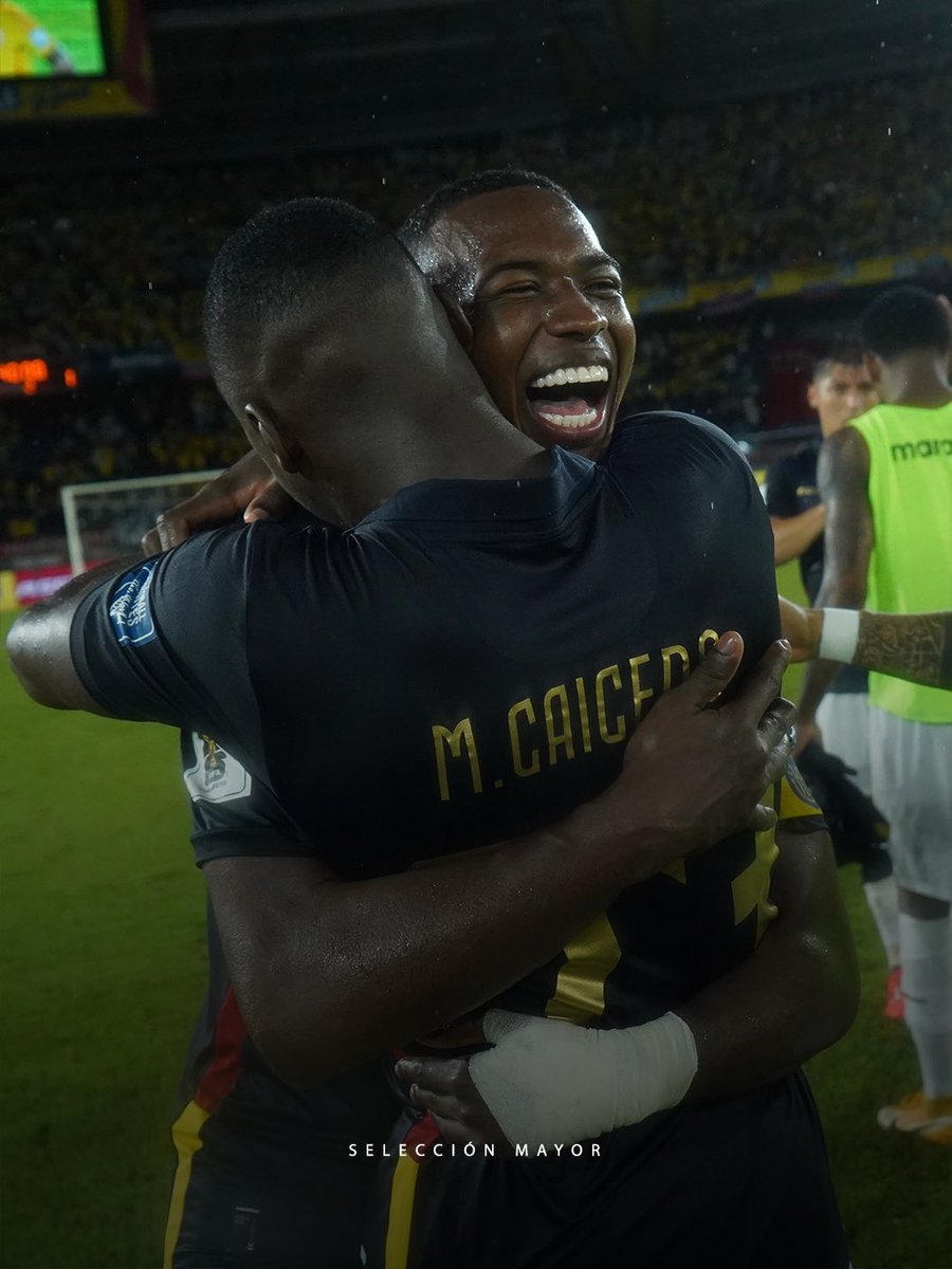 Marco Mena tweet media