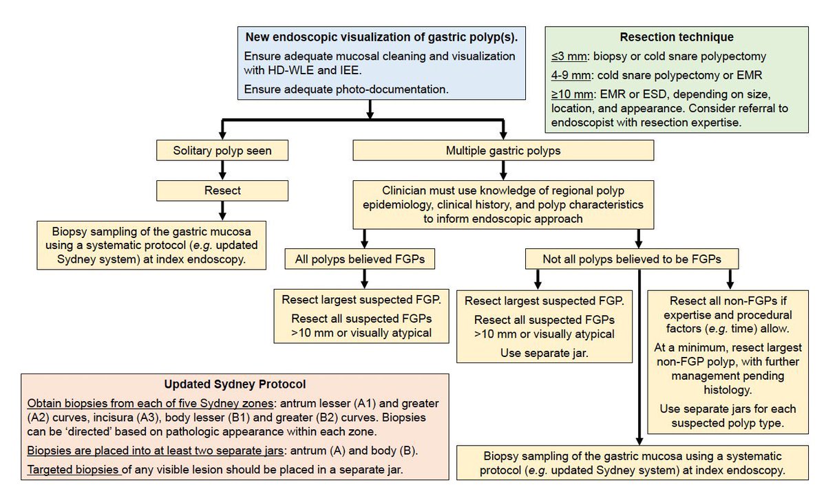 Daniel Calle Rodas tweet media