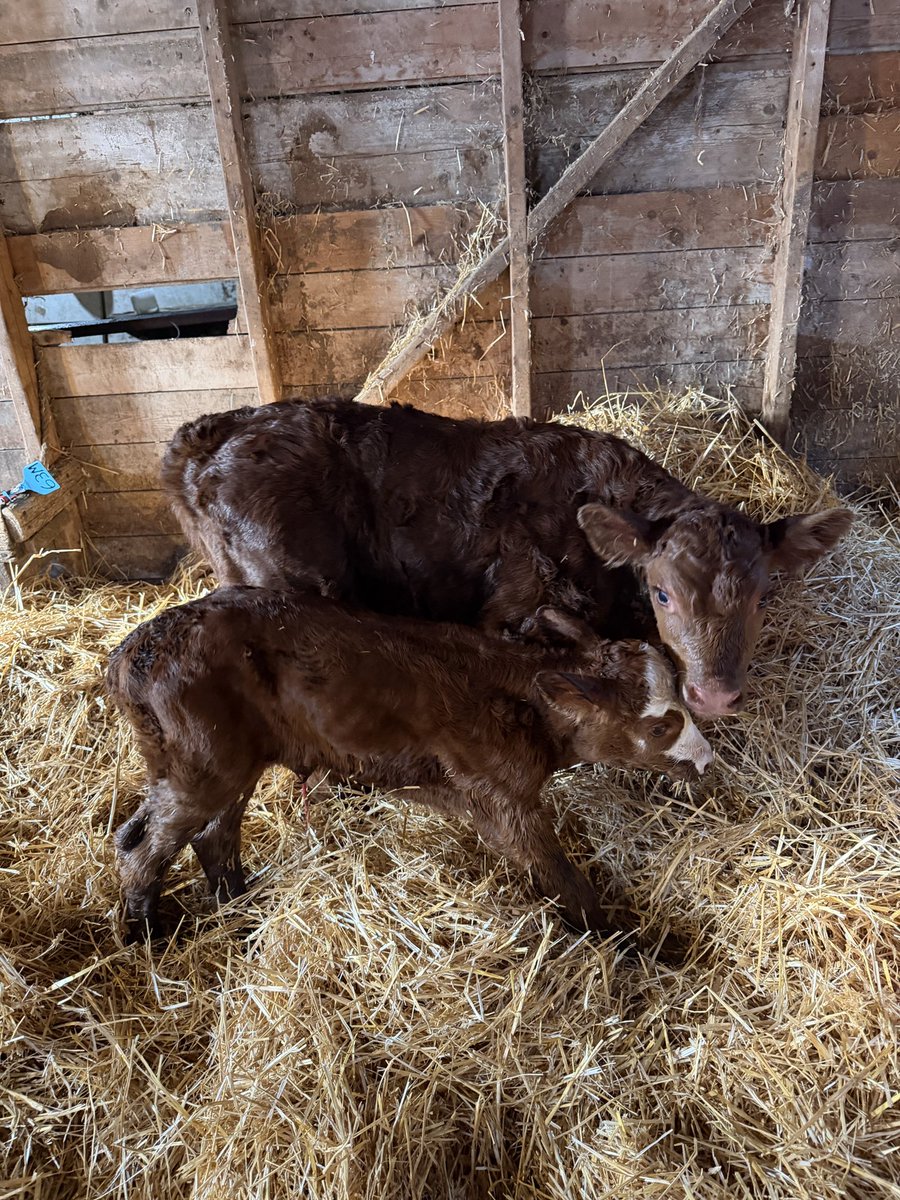 Clint Howard tweet media