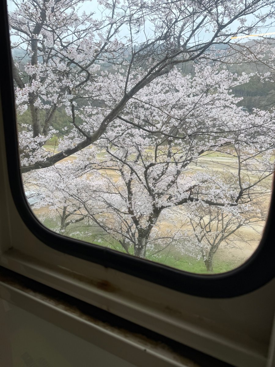 Erwin Vollmann🎗 tweet media