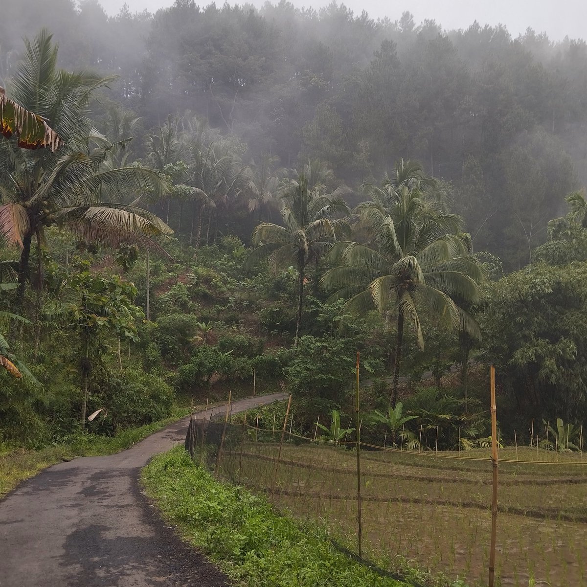 sarah ayu 🦋 tweet media