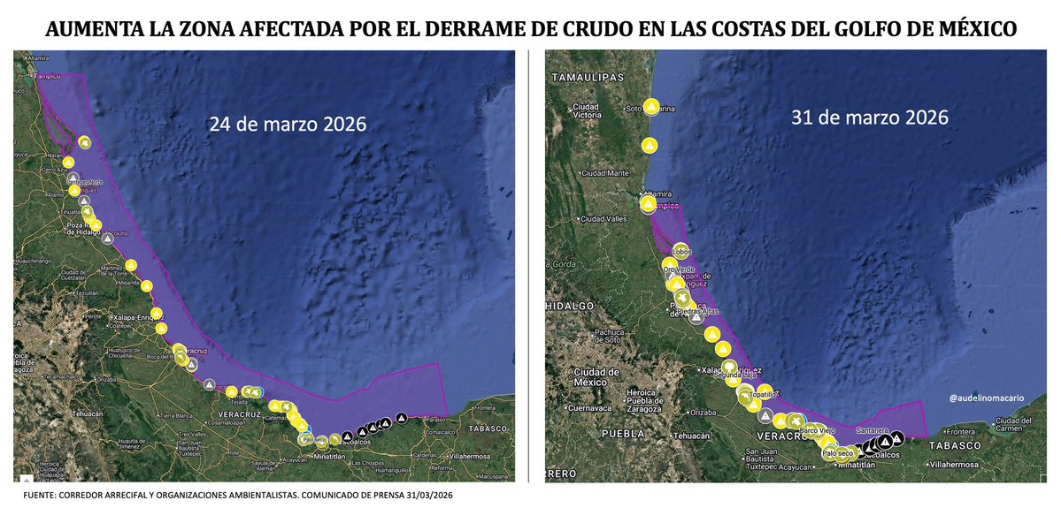 Azucena Uresti tweet media