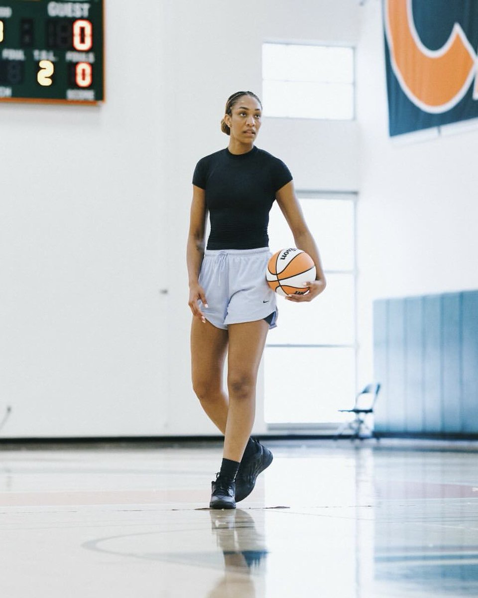 Sole Retriever tweet media