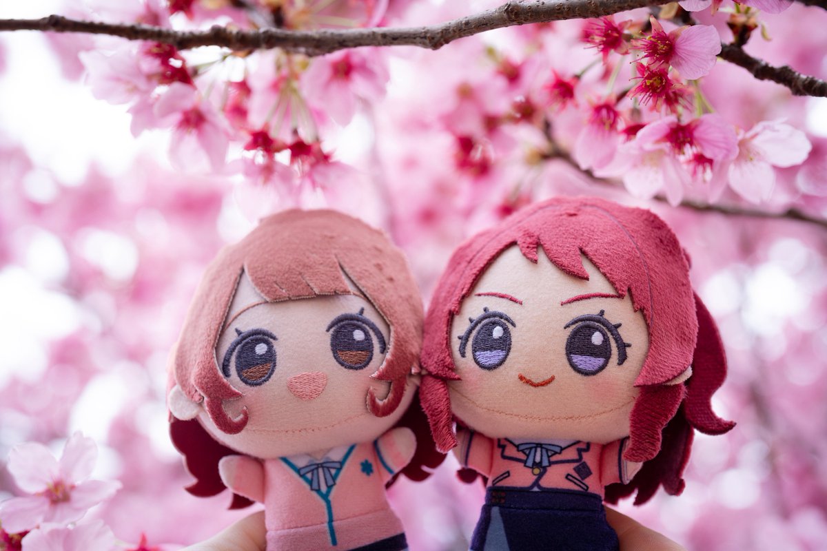 てら🐟🍙　痛天 tweet media