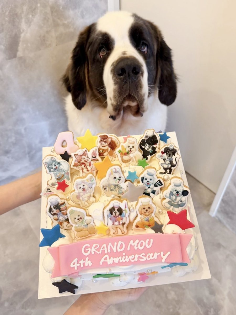 大型犬カフェGRAND MOU《ぐらんむー》 tweet media
