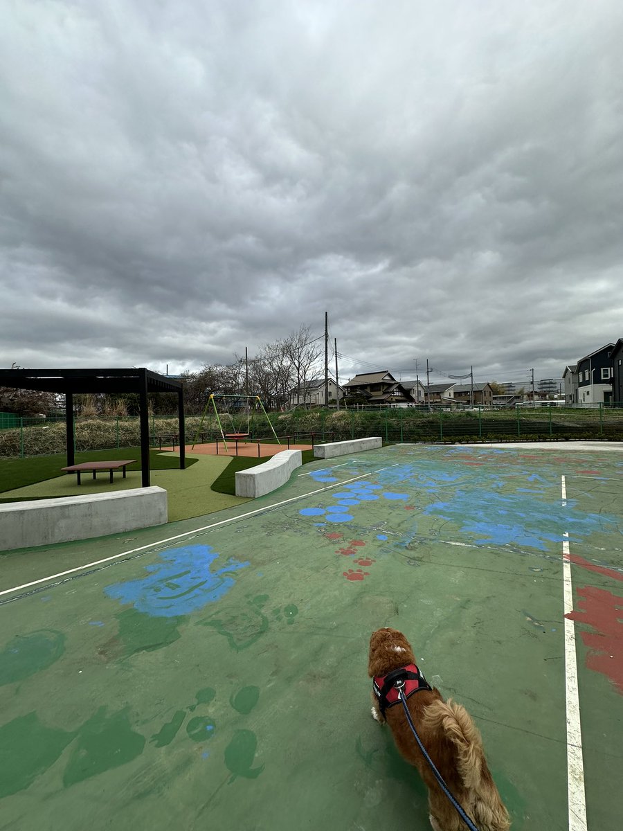 てんちょ～☆レーシングマックス府中店🏍 tweet media