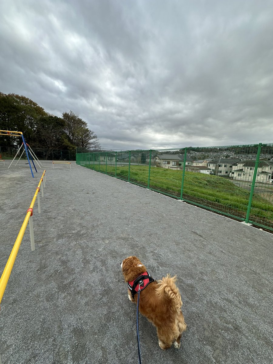 てんちょ～☆レーシングマックス府中店🏍 tweet media