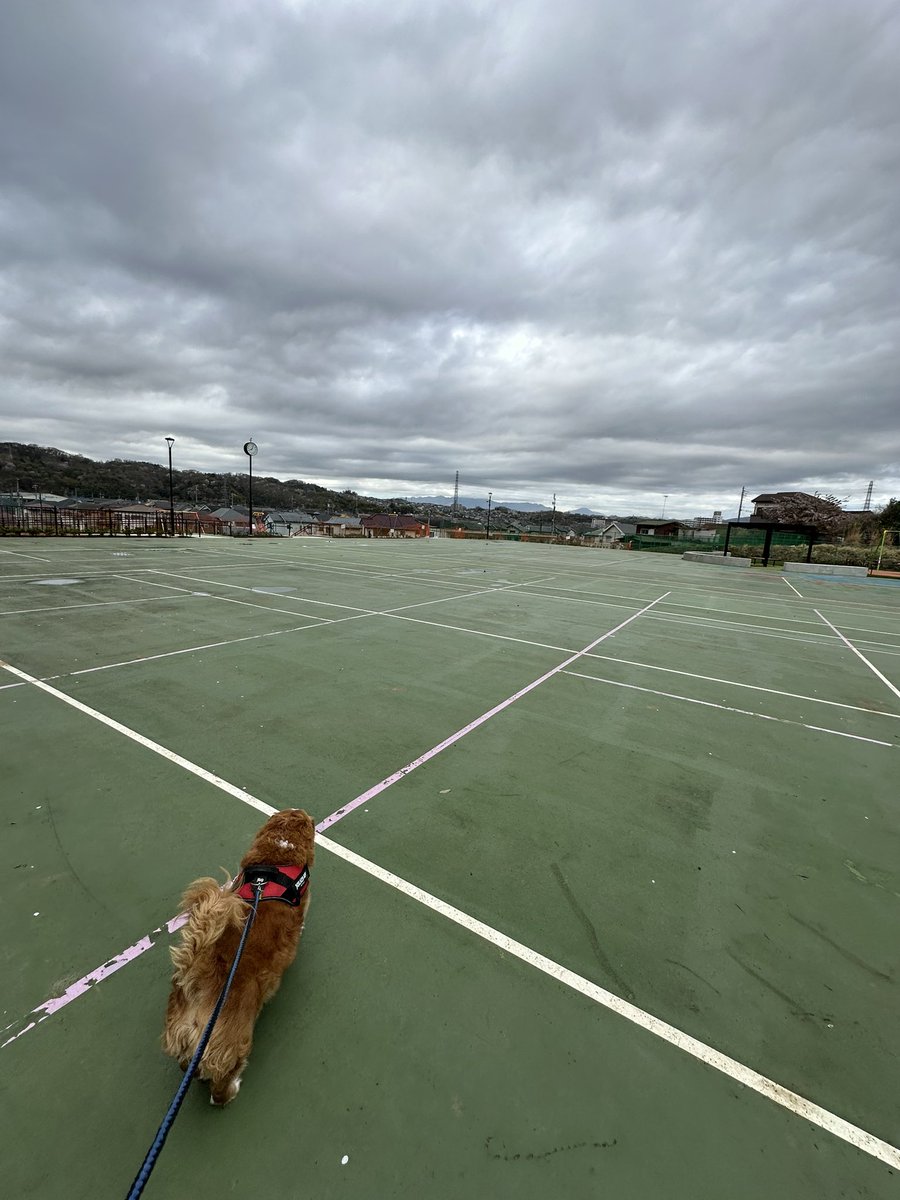 てんちょ～☆レーシングマックス府中店🏍 tweet media