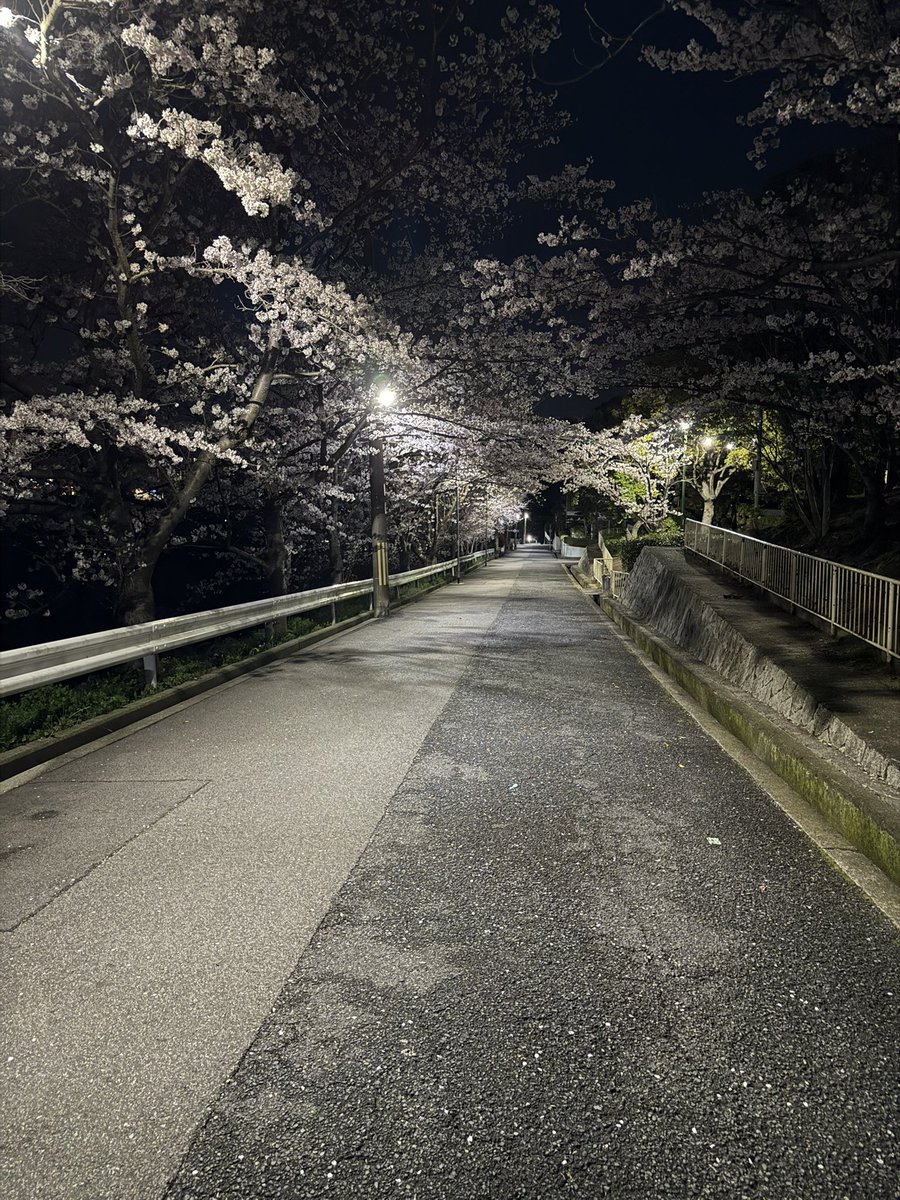バイト終わりにこの景色見れて元気出た(*´ ³ `)ﾉ