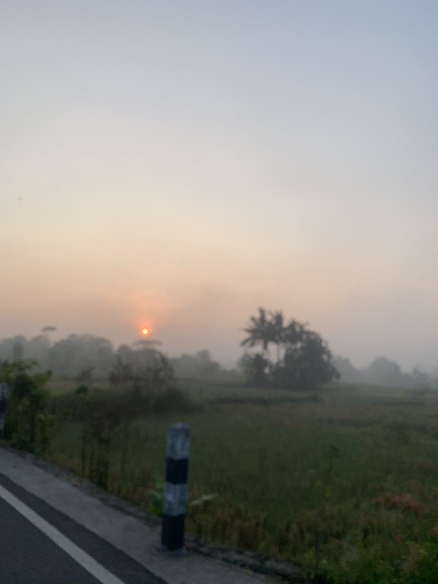 zecca ꫂ ၴႅၴ tweet media