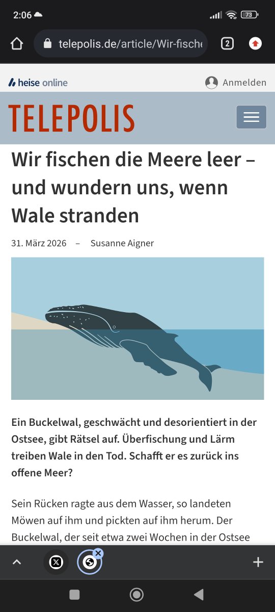 😡👇👇👇‼️