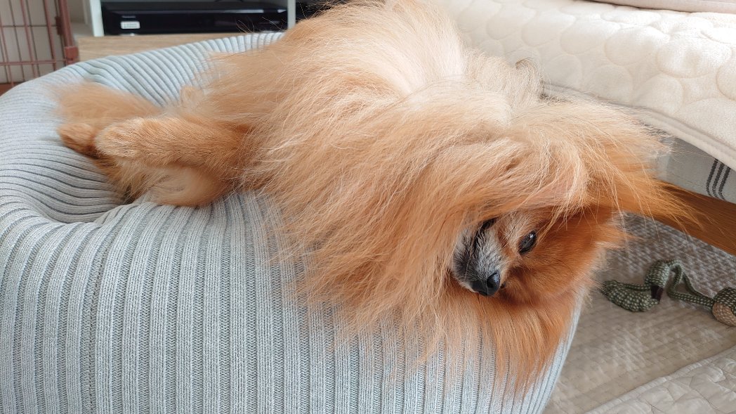 なも🐬 tweet media