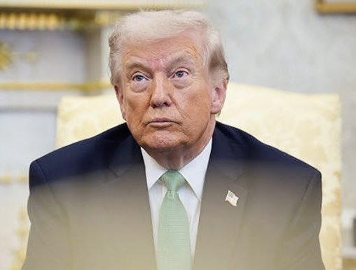 Megatron tweet media