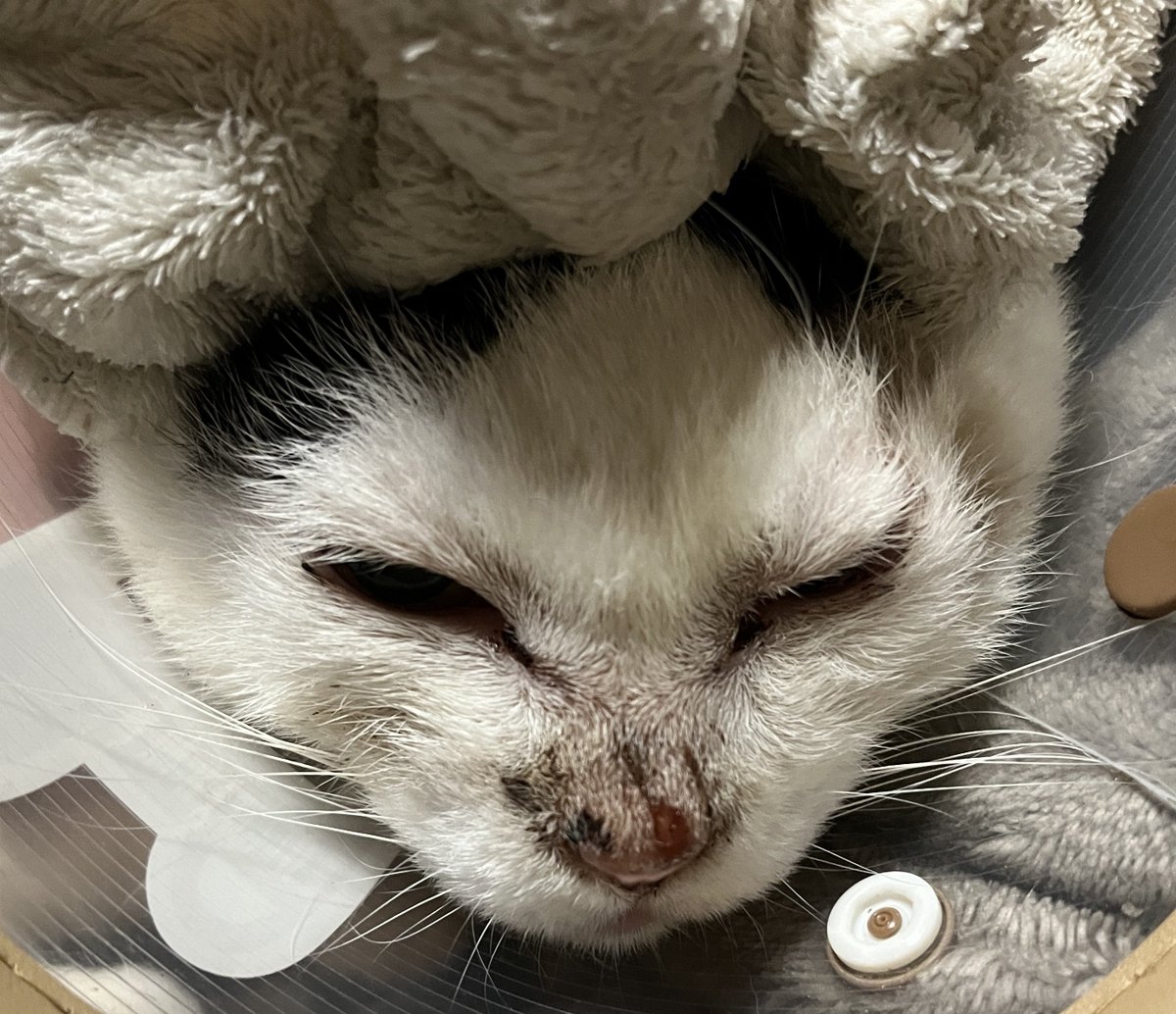 なかのひと的な2 tweet media