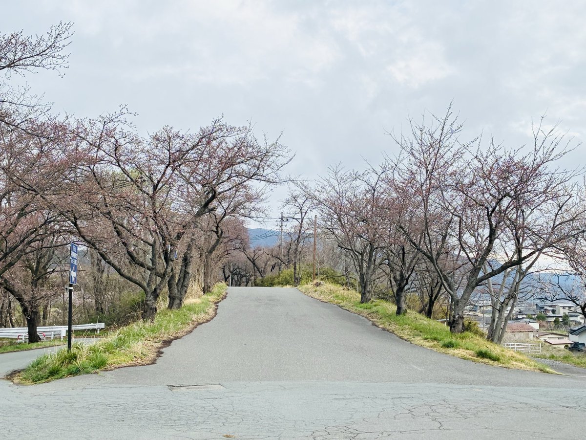 もんも tweet media