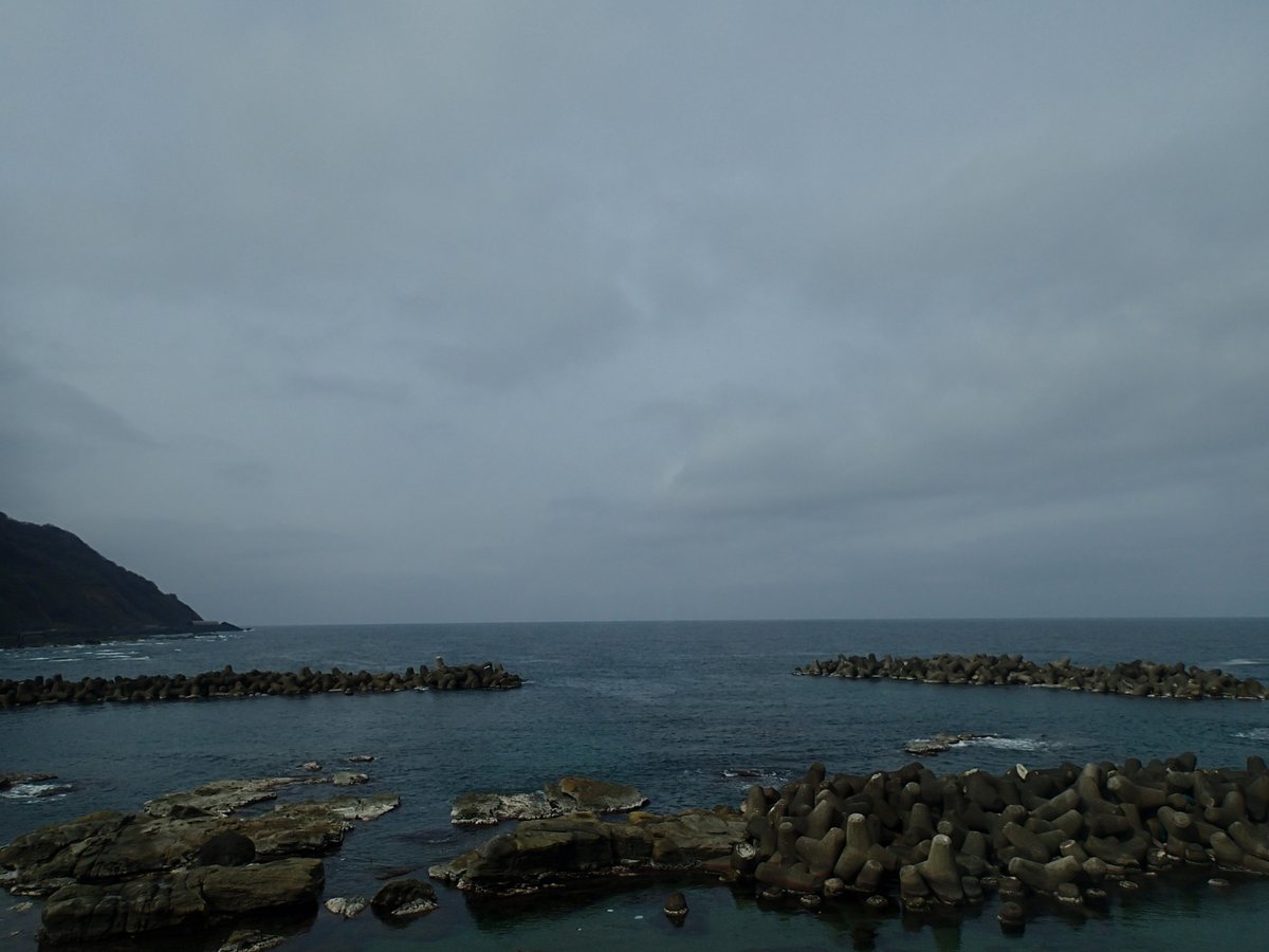 東北エプソンアクアリウムかもすい（鶴岡市立加茂水族館） tweet media