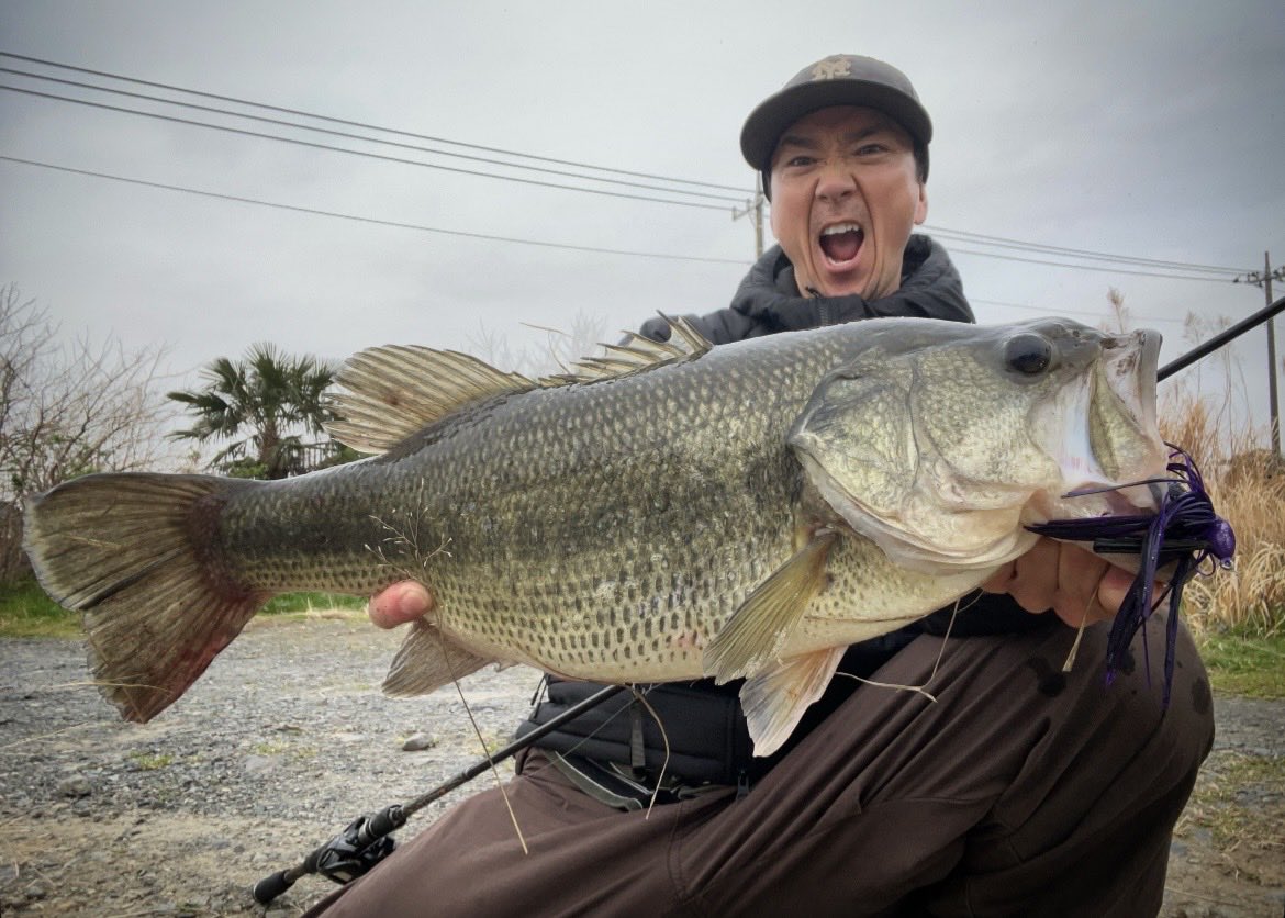 吉田 撃（official） tweet media