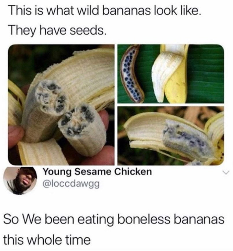 i like food tweet media