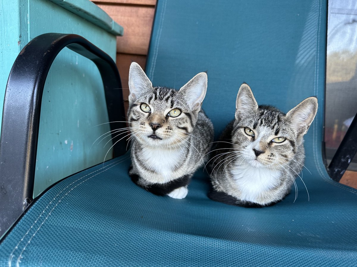 the closet ploy tweet media