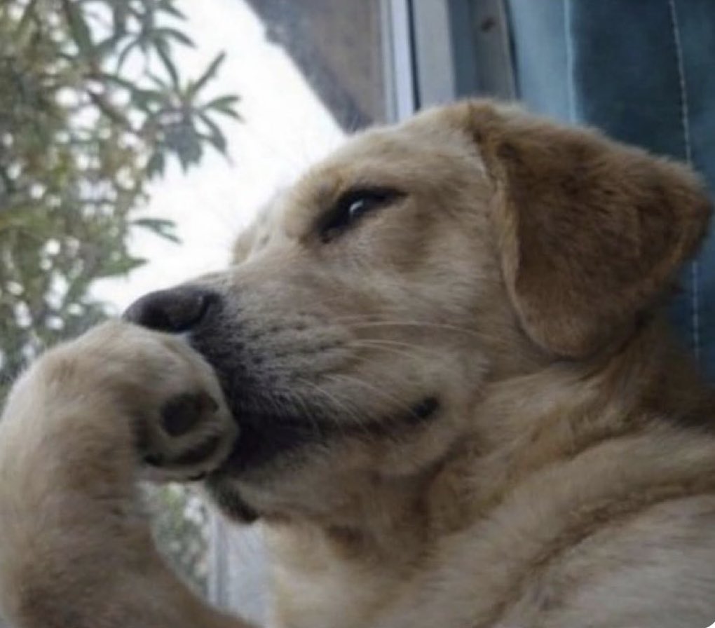 Mickey Graphix tweet media