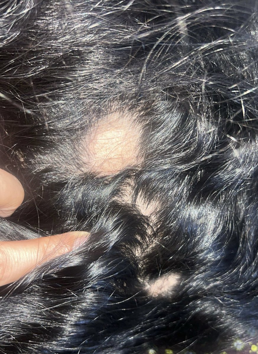 Quelquun tweet media