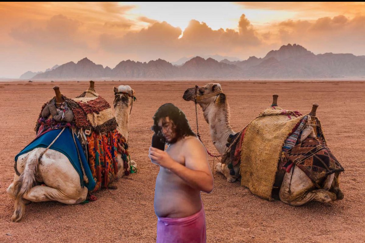 DeLaFrèzelière tweet media