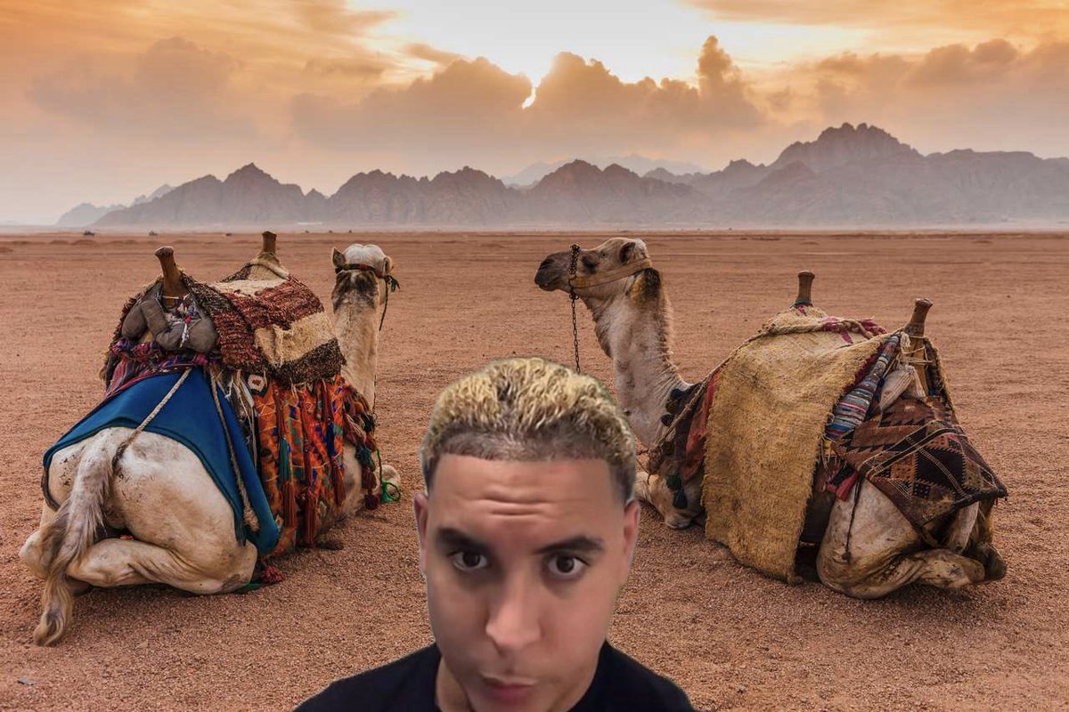 DeLaFrèzelière tweet media