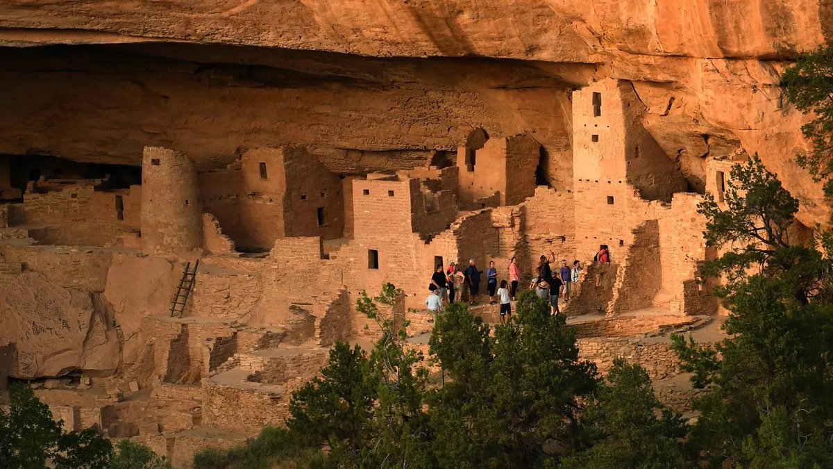 AmericaFirstFan99 tweet media