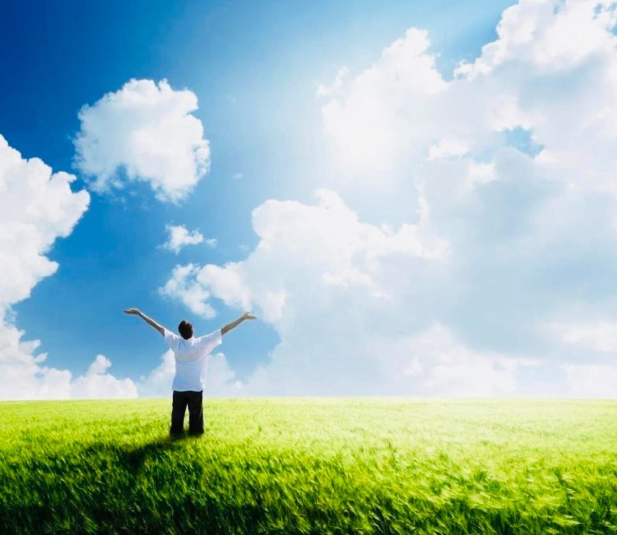 andrés. tweet media