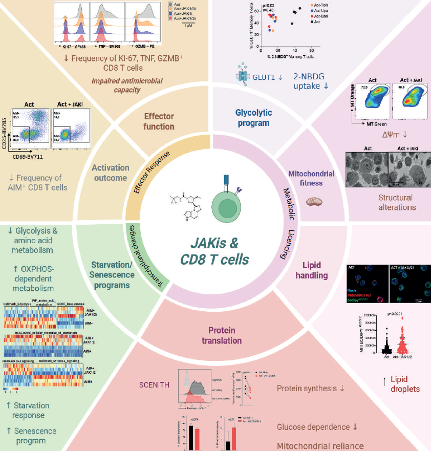 Luisina Onofrio tweet media