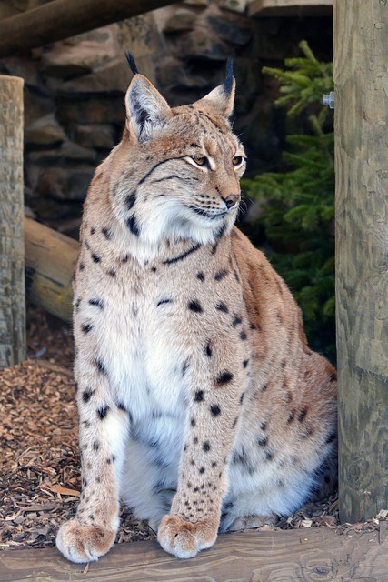 Serenity Taylor tweet media