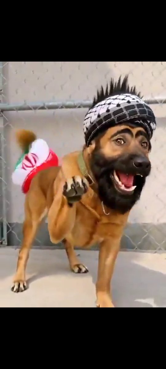 البراك tweet media