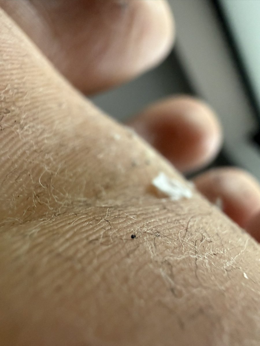 Snuffmouse's tweet photo. Filth. https://t.co/XSmShZNGBP