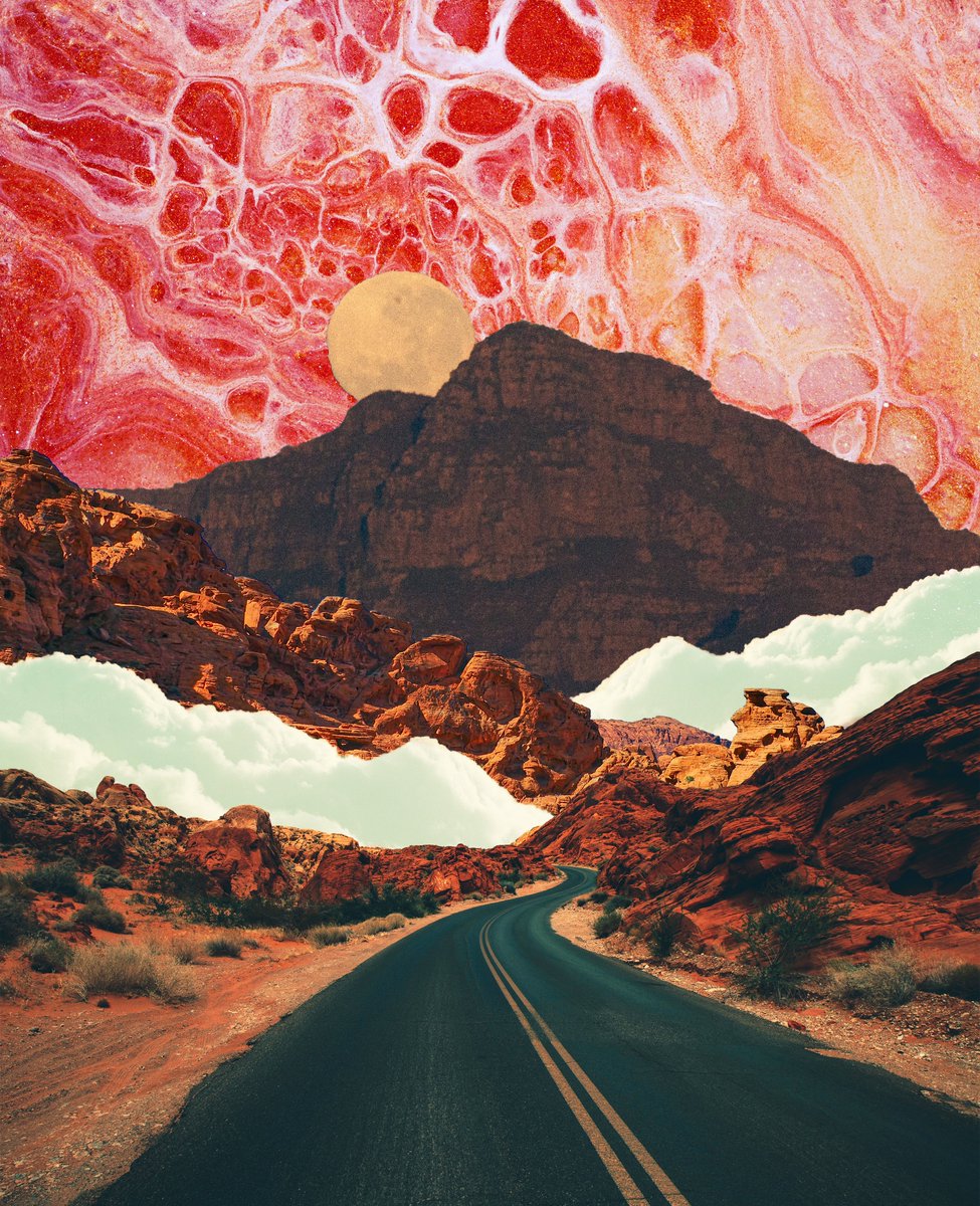 post wook ✨🌻 tweet media