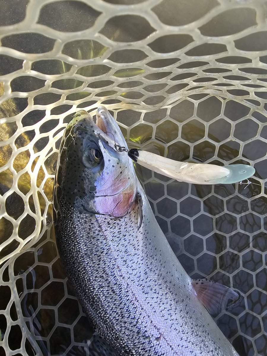 『TABIMASU BASE』の人～SlowLife in JAPAN ～ tweet media