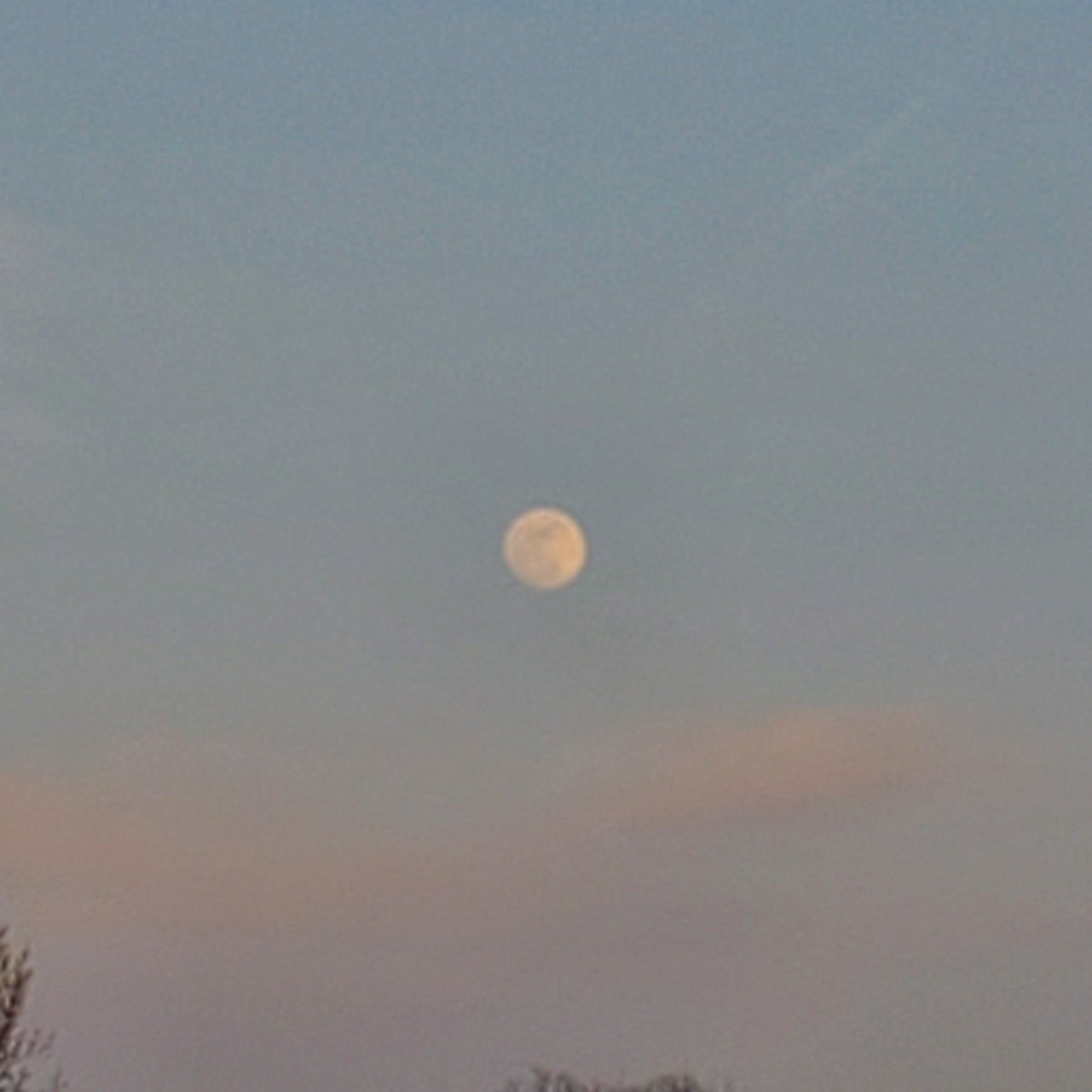 Sumino Takumi tweet media