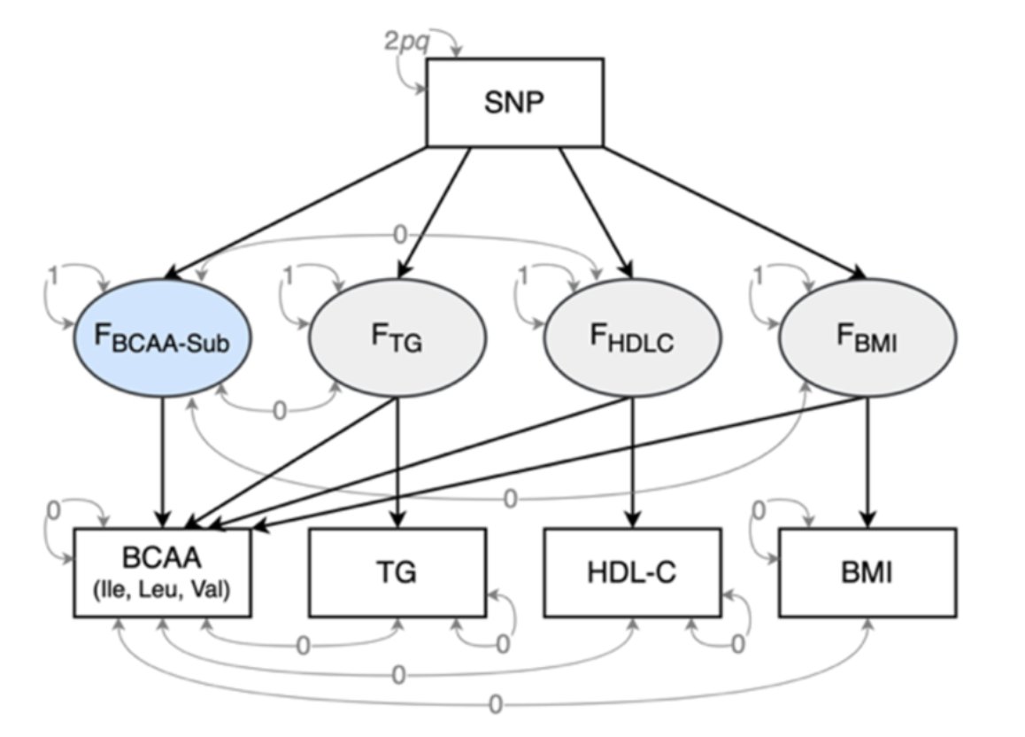Masaru Koido tweet media