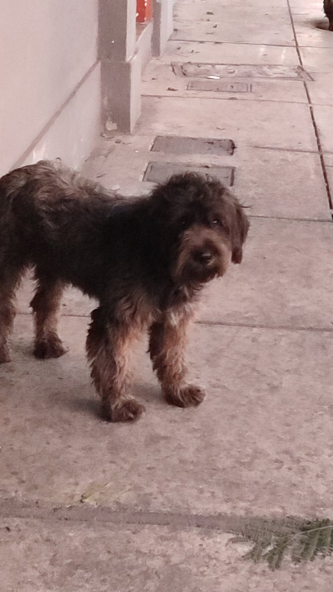 Sirius2021 tweet media